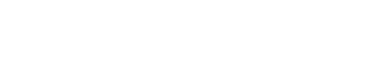 Zylaris Digital Logo White